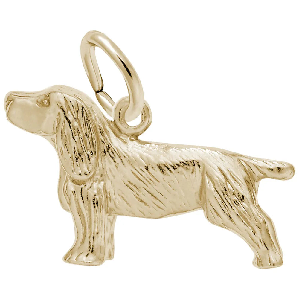 Boykin Spaniel Charms by Rembrandt