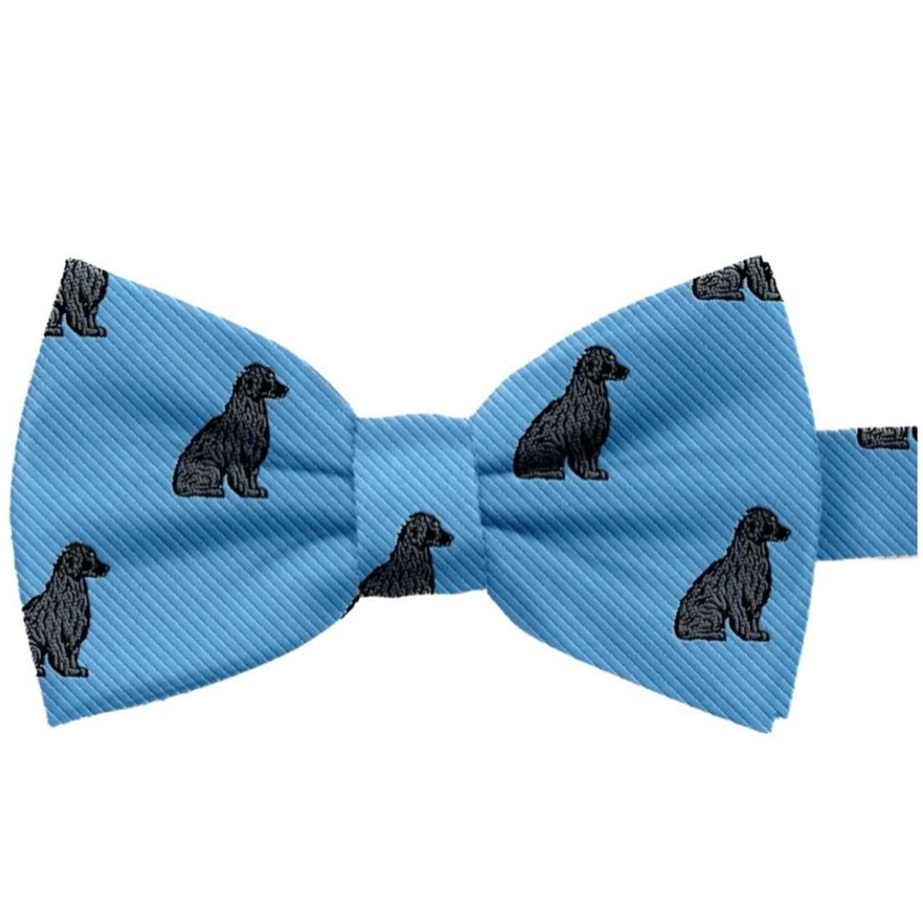 Boykin Spaniel Silk Ties by Charles Brewster