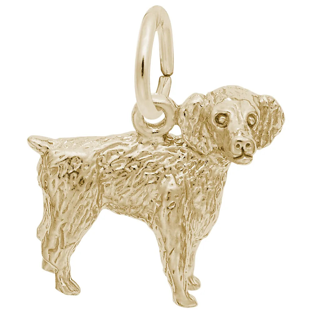 Boykin Spaniel Dog Charm
