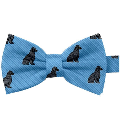 Boykin Spaniel Silk Ties by Charles Brewster