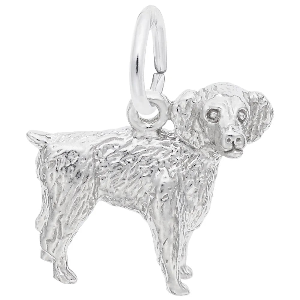 Boykin Spaniel Charms by Rembrandt