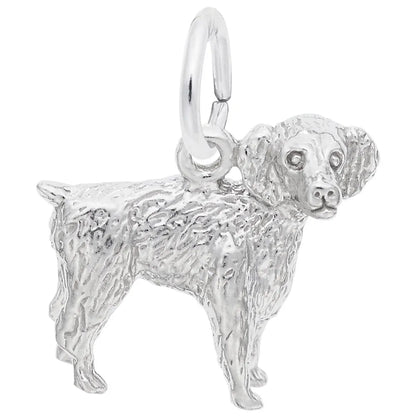 Boykin Spaniel Charms by Rembrandt