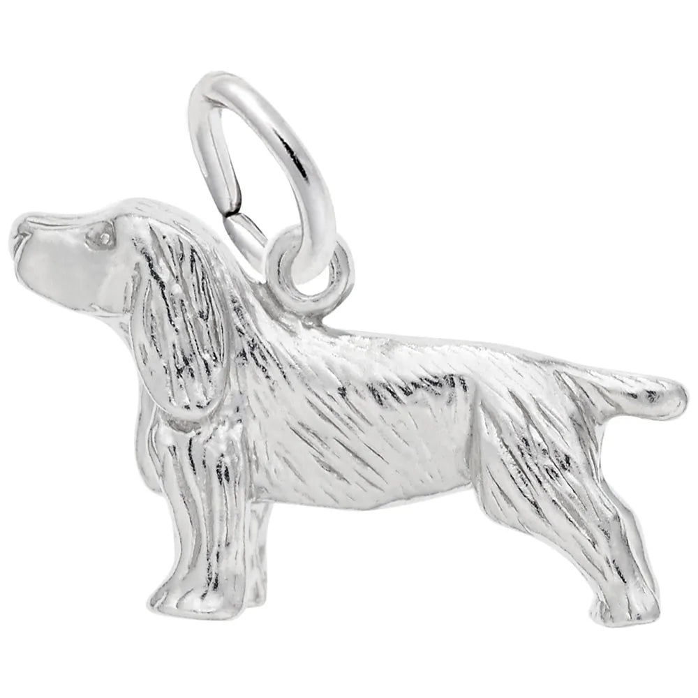 Boykin Spaniel Charms by Rembrandt