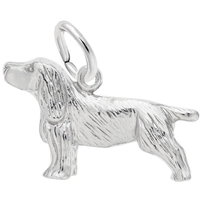 Boykin Spaniel Charms by Rembrandt