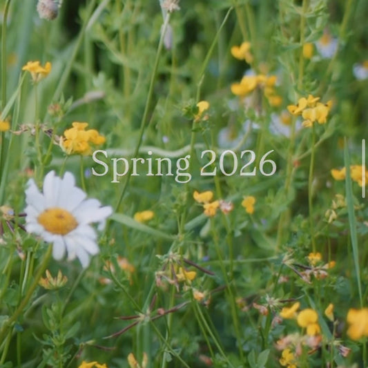 The Spring 2026 Collection