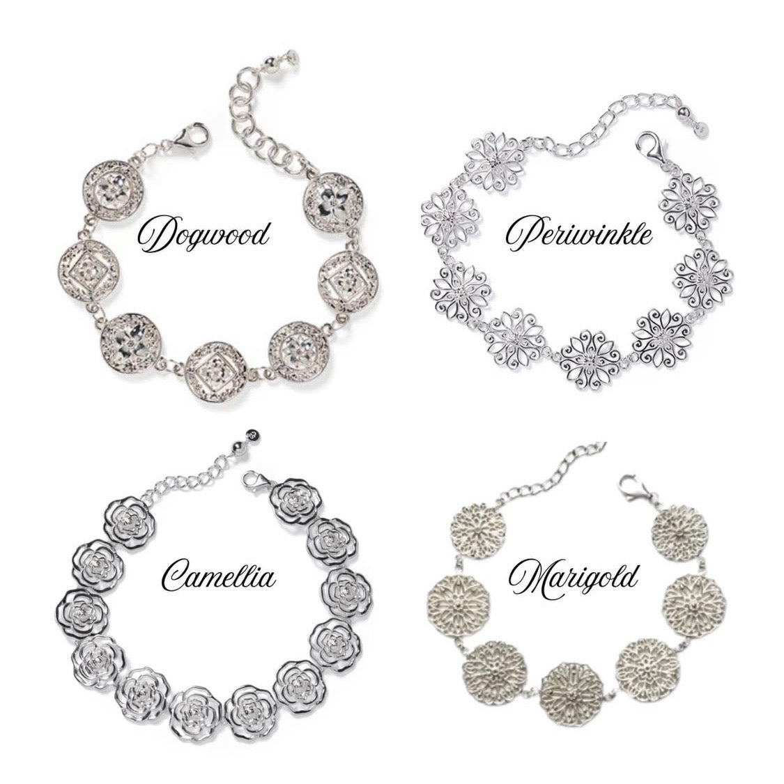 New! Spring 2026 Collection