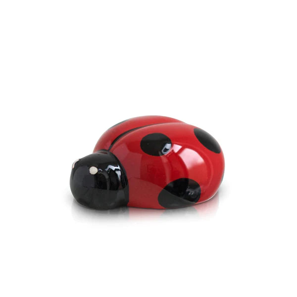 Lil' Lady Bug